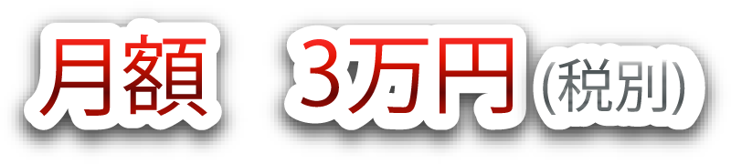 経理の代行パック月額3万円